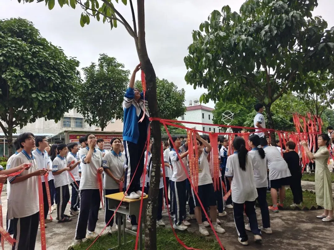 同心栽种心愿树,奋楫扬帆迎中考|以青春之名,赴盛夏之约 第10张