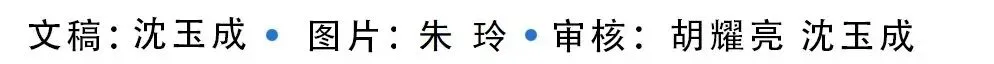 【中考冲刺】中考倒计时30天!文通中学这场报告会,点燃家校冲刺最强引擎! 第62张