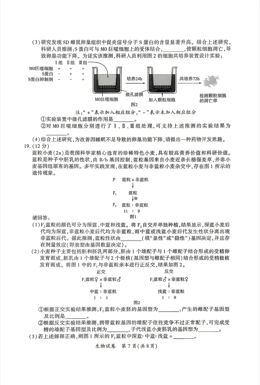 厦门2026年5月高三化学试卷、生物学试卷和参考答案(厦门三检) 第17张