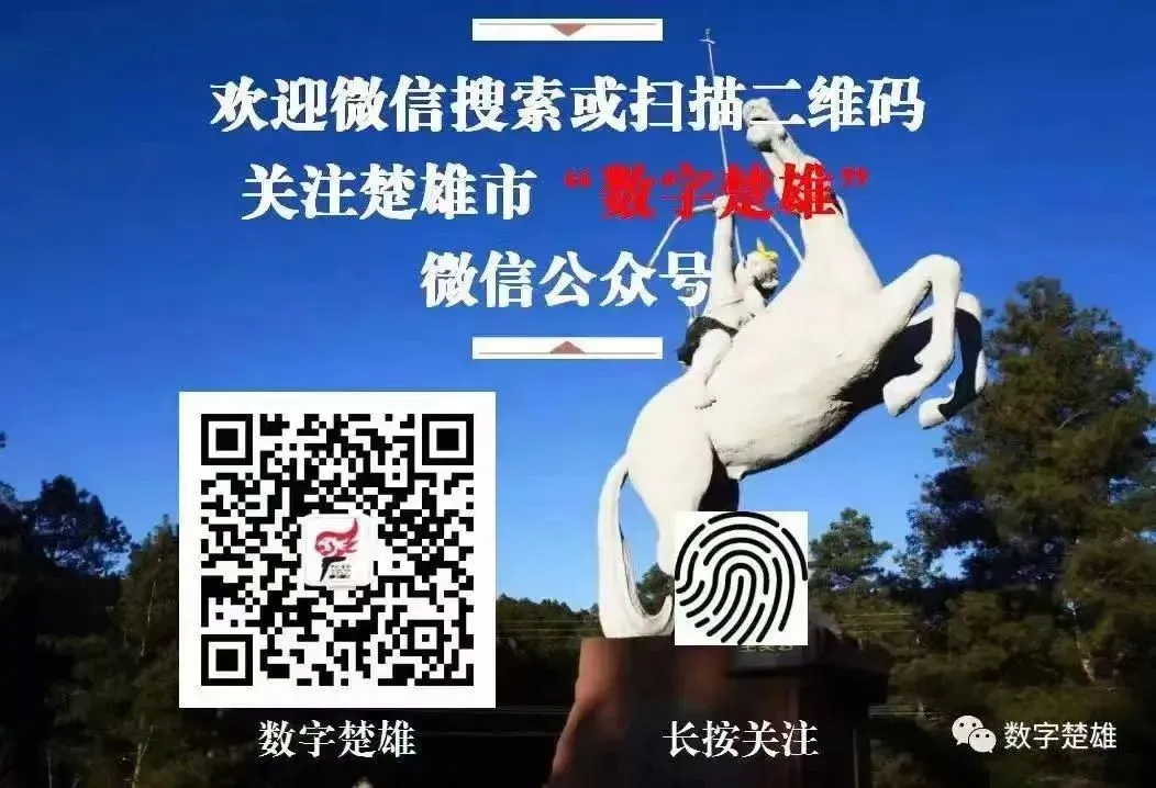 中考加油!楚雄考生,这份实用手册请收藏 第8张
