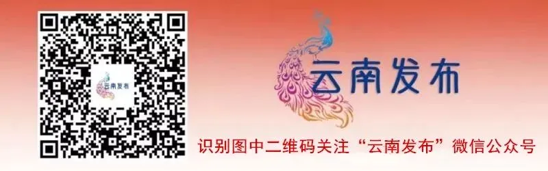 中考加油!楚雄考生,这份实用手册请收藏 第13张