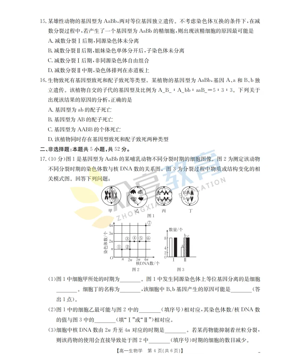 【高一期中试卷】河南省南阳市金太阳联考2026年春季高一年级阶段性学情检及答案(9科全,可下载) 第45张