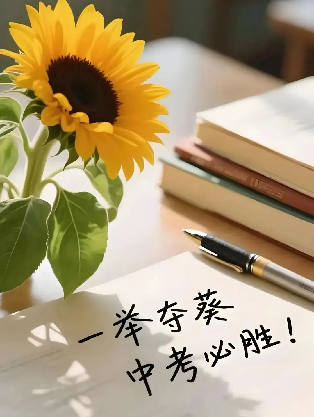 中考冲刺阶段,家长们该做些什么? 第2张