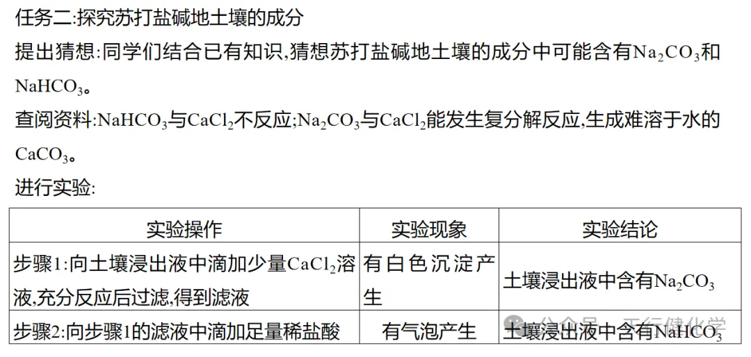 2026年中考热点试题项目式学习 第18张