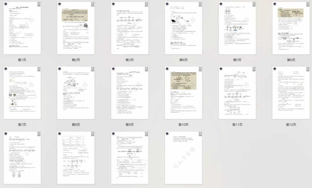 上海中考化学提分必刷!2026二模不定项选择专题汇编 第2张