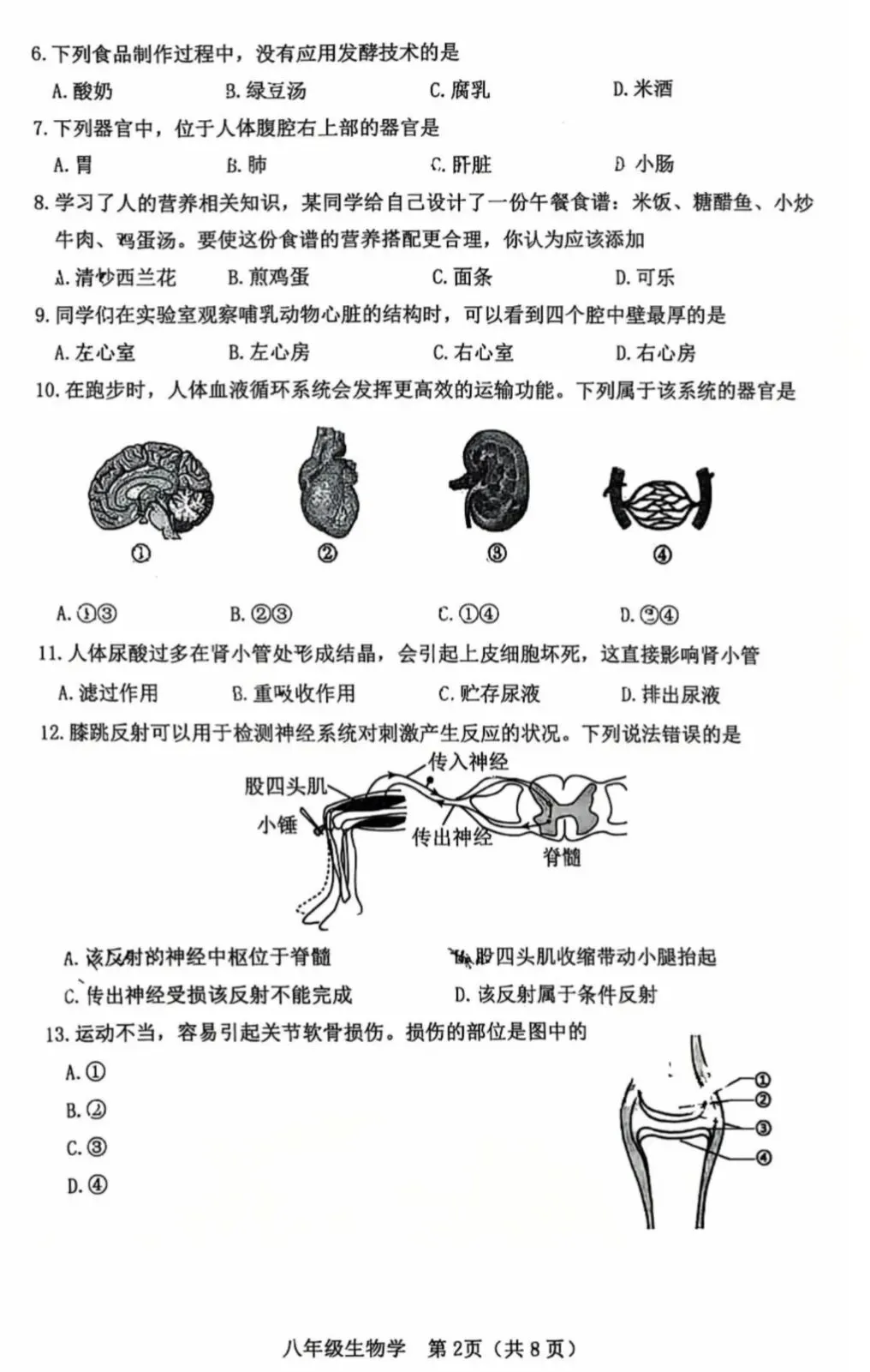 2026年4月石家庄桥西区一模生物试卷(含答案)-第4张图片-四季读书网
