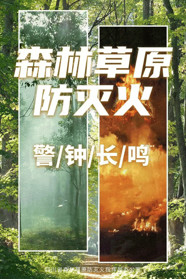 重磅发布!2026年攀枝花市中考志愿填报全攻略 一文读懂时间、批次、录取规则和重要环节 第4张