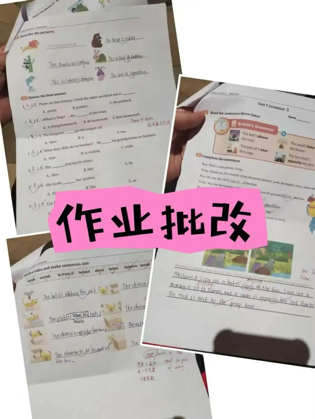 学THiNK对中考英语有用吗?五大维度搞懂两者的契合度 第11张