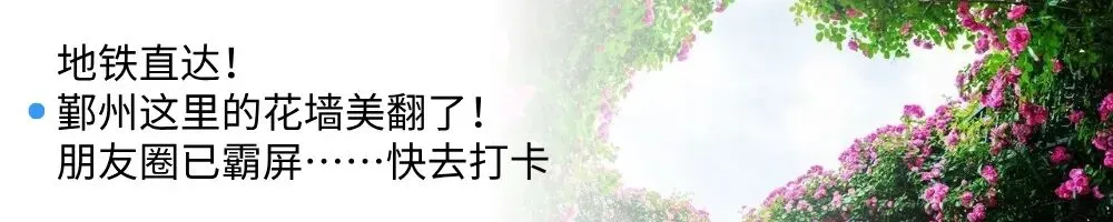 事关中考!刚刚,宁波教育考试院重要发布 第7张 事关中考!刚刚,宁波教育考试院重要发布 第7张