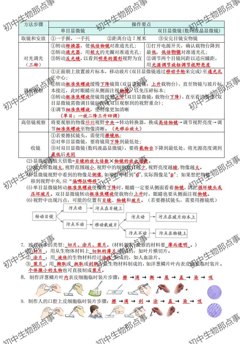 初中生物中考知识点 (人教版2026年最新版)-第5张图片-四季读书网 初中生物中考知识点 (人教版2026年最新版)-第5张图片-四季读书网