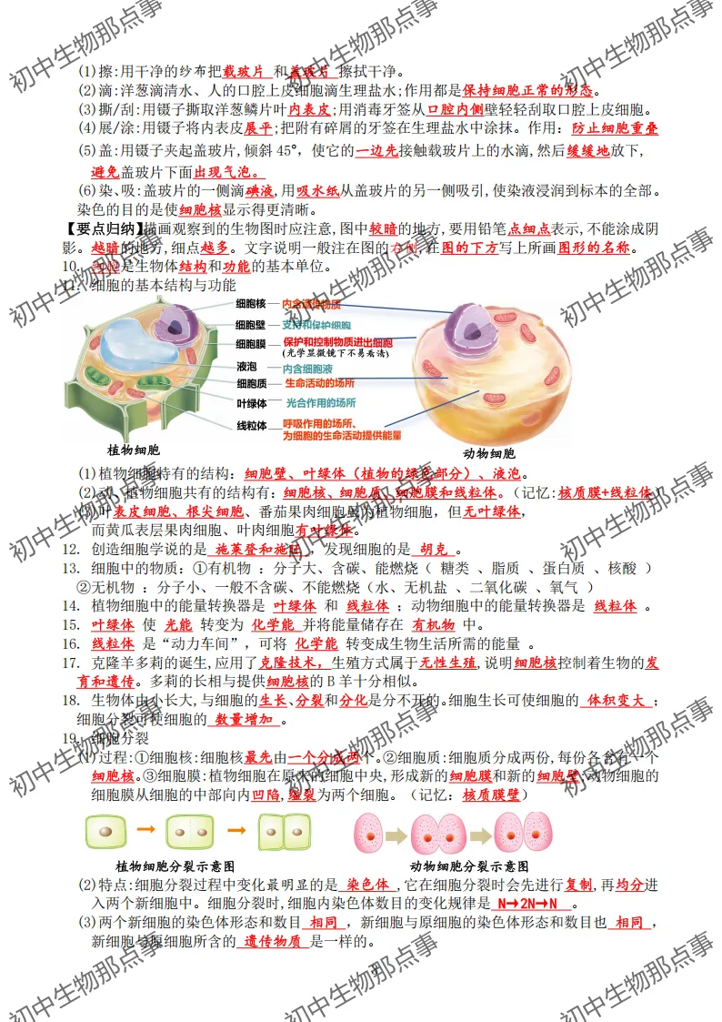 初中生物中考知识点 (人教版2026年最新版)-第6张图片-四季读书网 初中生物中考知识点 (人教版2026年最新版)-第6张图片-四季读书网