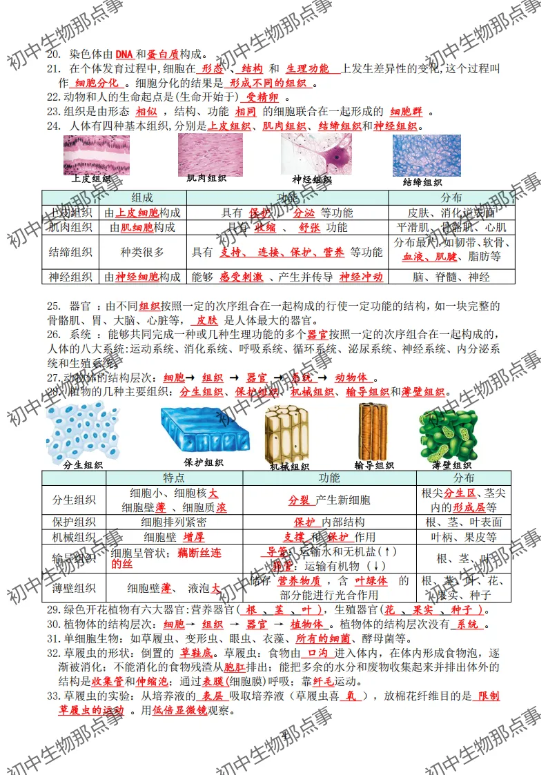 初中生物中考知识点 (人教版2026年最新版)-第7张图片-四季读书网 初中生物中考知识点 (人教版2026年最新版)-第7张图片-四季读书网