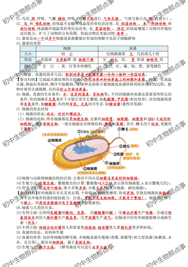 初中生物中考知识点 (人教版2026年最新版)-第10张图片-四季读书网 初中生物中考知识点 (人教版2026年最新版)-第10张图片-四季读书网