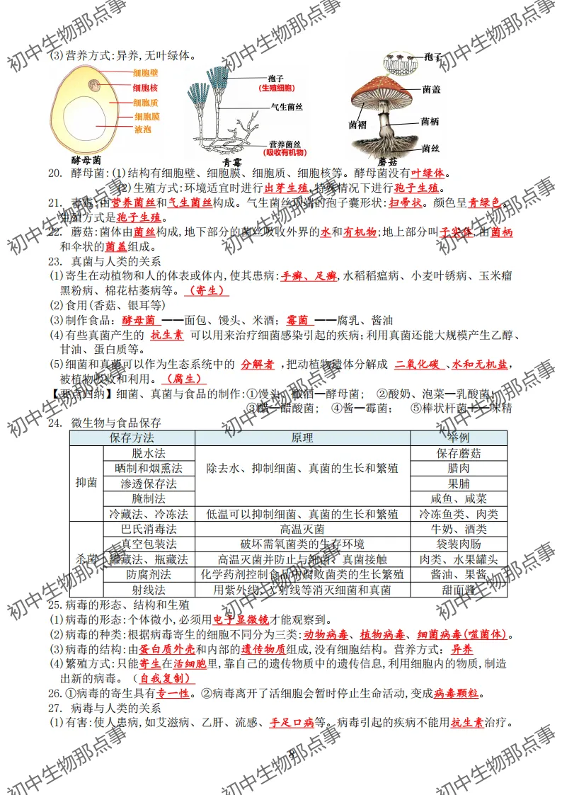 初中生物中考知识点 (人教版2026年最新版)-第11张图片-四季读书网 初中生物中考知识点 (人教版2026年最新版)-第11张图片-四季读书网