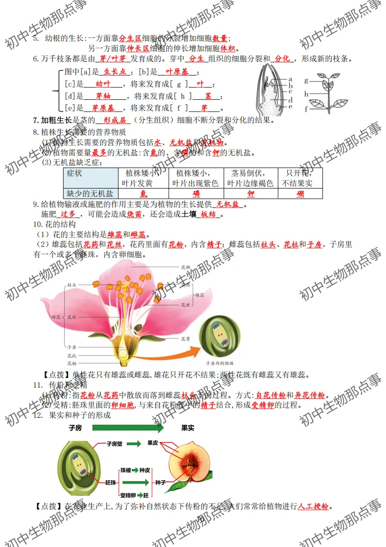 初中生物中考知识点 (人教版2026年最新版)-第13张图片-四季读书网 初中生物中考知识点 (人教版2026年最新版)-第13张图片-四季读书网