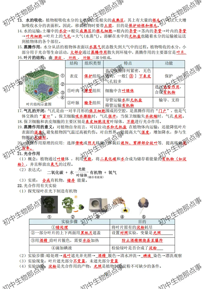 初中生物中考知识点 (人教版2026年最新版)-第14张图片-四季读书网 初中生物中考知识点 (人教版2026年最新版)-第14张图片-四季读书网