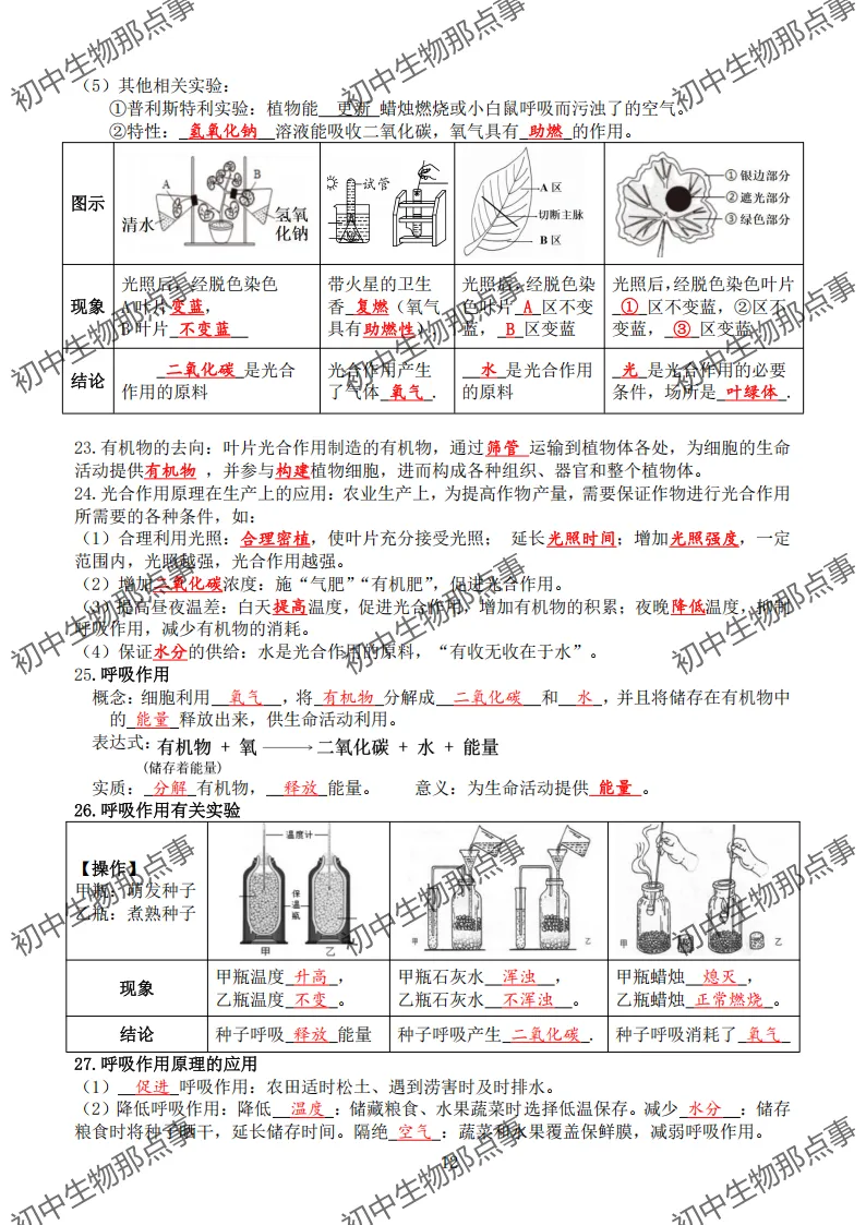 初中生物中考知识点 (人教版2026年最新版)-第15张图片-四季读书网 初中生物中考知识点 (人教版2026年最新版)-第15张图片-四季读书网