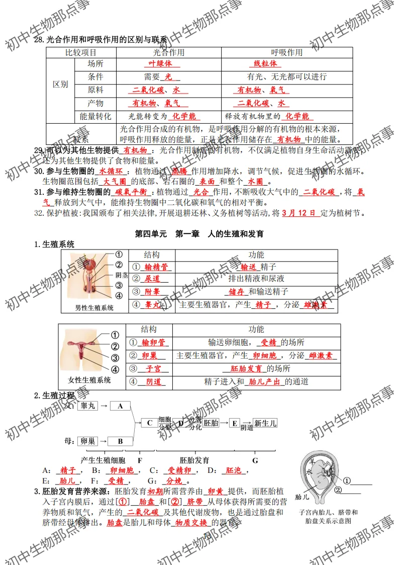 初中生物中考知识点 (人教版2026年最新版)-第16张图片-四季读书网 初中生物中考知识点 (人教版2026年最新版)-第16张图片-四季读书网