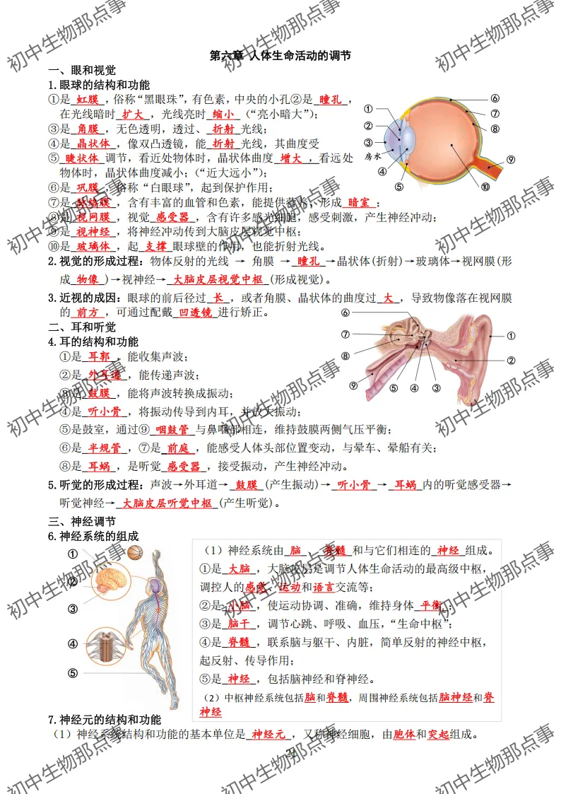 初中生物中考知识点 (人教版2026年最新版)-第17张图片-四季读书网 初中生物中考知识点 (人教版2026年最新版)-第17张图片-四季读书网