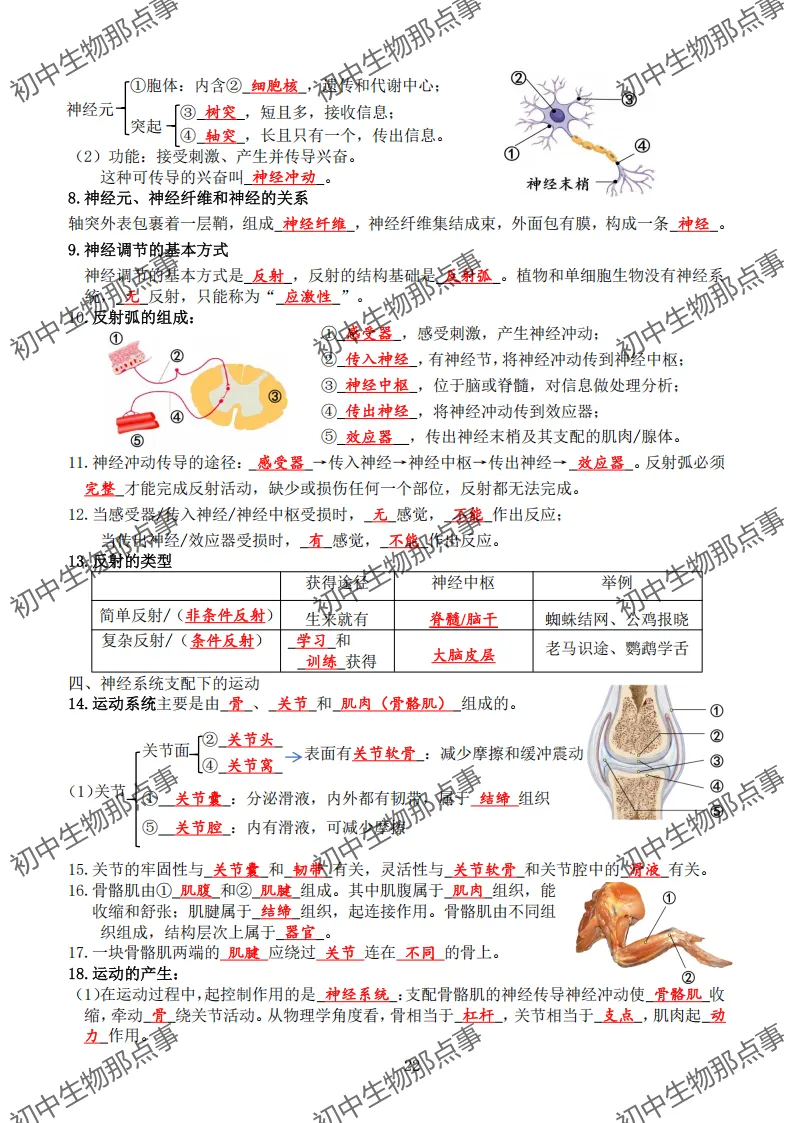 初中生物中考知识点 (人教版2026年最新版)-第18张图片-四季读书网 初中生物中考知识点 (人教版2026年最新版)-第18张图片-四季读书网