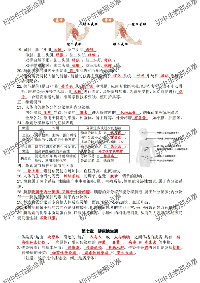 初中生物中考知识点 (人教版2026年最新版)-第19张图片-四季读书网 初中生物中考知识点 (人教版2026年最新版)-第19张图片-四季读书网