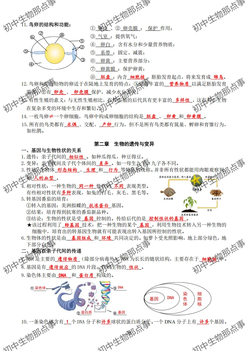 初中生物中考知识点 (人教版2026年最新版)-第24张图片-四季读书网 初中生物中考知识点 (人教版2026年最新版)-第24张图片-四季读书网