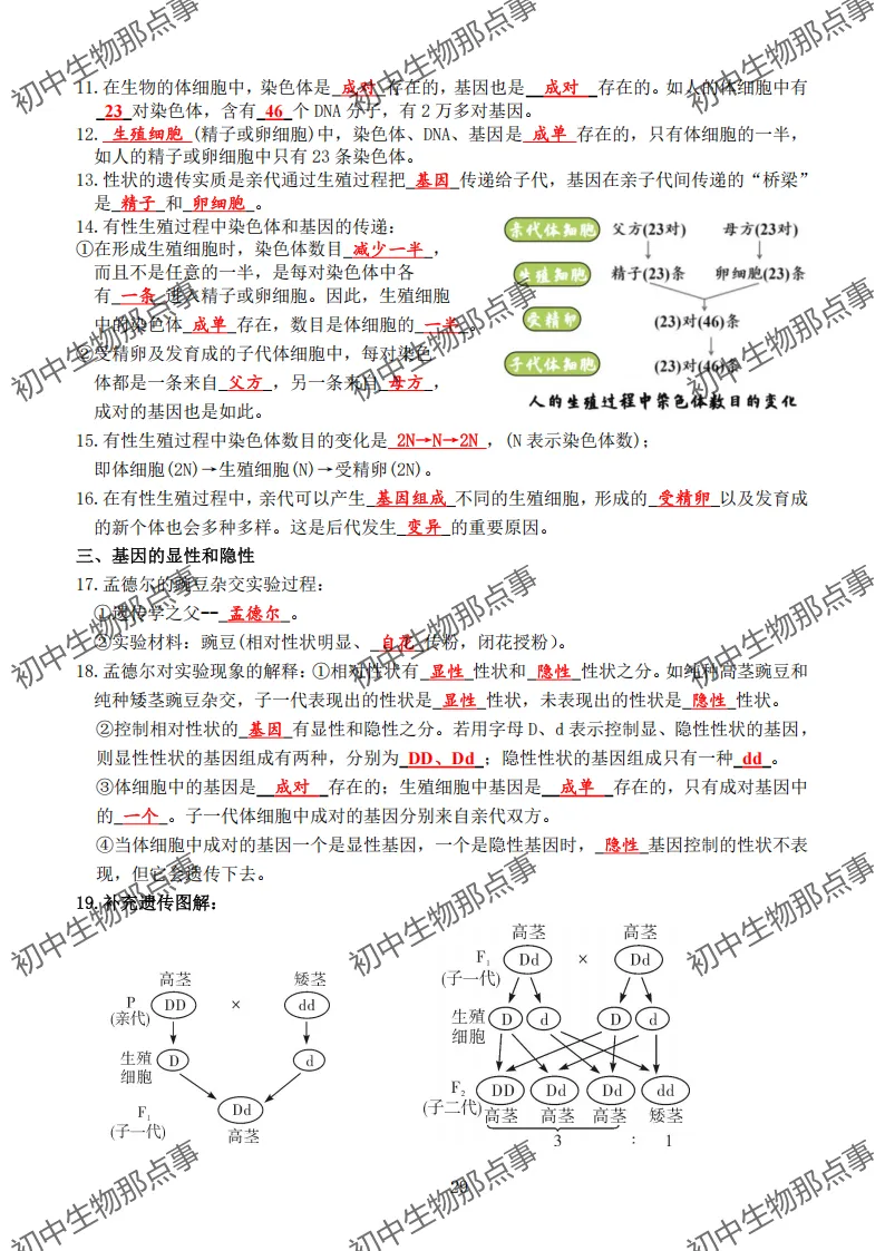 初中生物中考知识点 (人教版2026年最新版)-第25张图片-四季读书网 初中生物中考知识点 (人教版2026年最新版)-第25张图片-四季读书网