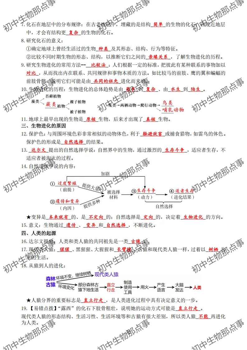 初中生物中考知识点 (人教版2026年最新版)-第28张图片-四季读书网 初中生物中考知识点 (人教版2026年最新版)-第28张图片-四季读书网