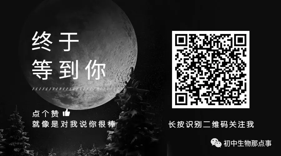 初中生物中考知识点 (人教版2026年最新版)-第30张图片-四季读书网 初中生物中考知识点 (人教版2026年最新版)-第30张图片-四季读书网