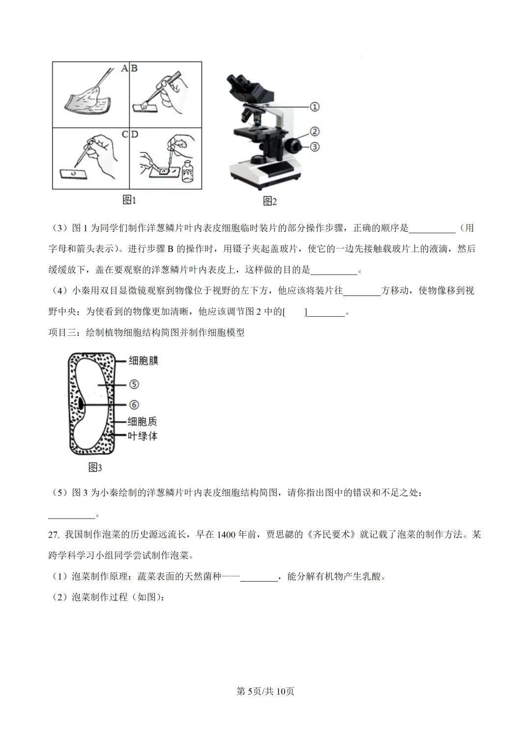 重磅!2026年衡阳中考二模全科试卷+语文深度解析(考前必看) 第83张 重磅!2026年衡阳中考二模全科试卷+语文深度解析(考前必看) 第83张