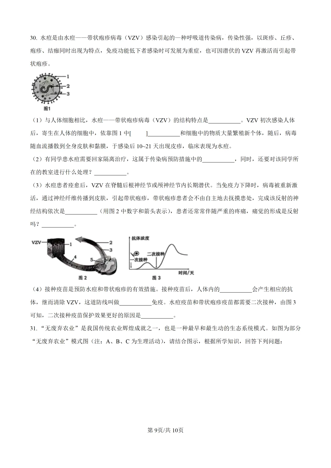 重磅!2026年衡阳中考二模全科试卷+语文深度解析(考前必看) 第87张 重磅!2026年衡阳中考二模全科试卷+语文深度解析(考前必看) 第87张
