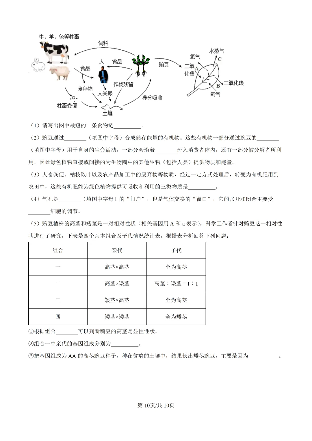 重磅!2026年衡阳中考二模全科试卷+语文深度解析(考前必看) 第88张 重磅!2026年衡阳中考二模全科试卷+语文深度解析(考前必看) 第88张