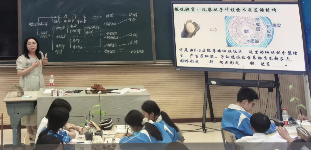 用好新教材,导向新中考——记天台县金隆名师工作室第32次教研活动 第5张