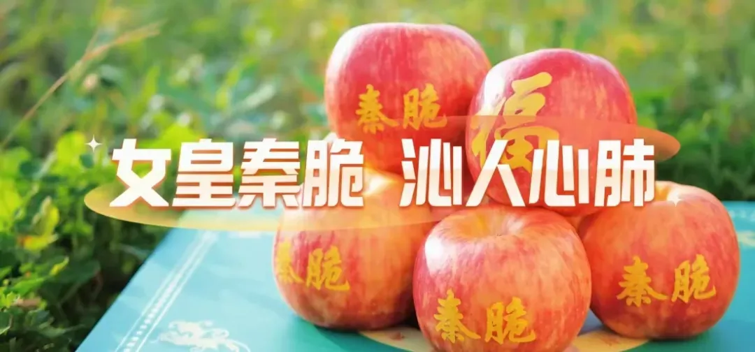【教育】乾县召开高考中考安全工作会议 第9张
