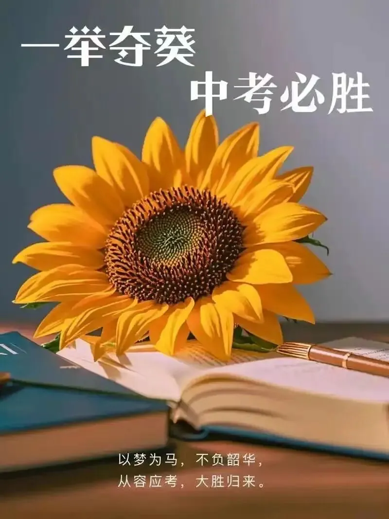 中考倒计时|孩子总说自己潜力无限,却缺少努力?这才是最该抓住的提分信号 第4张