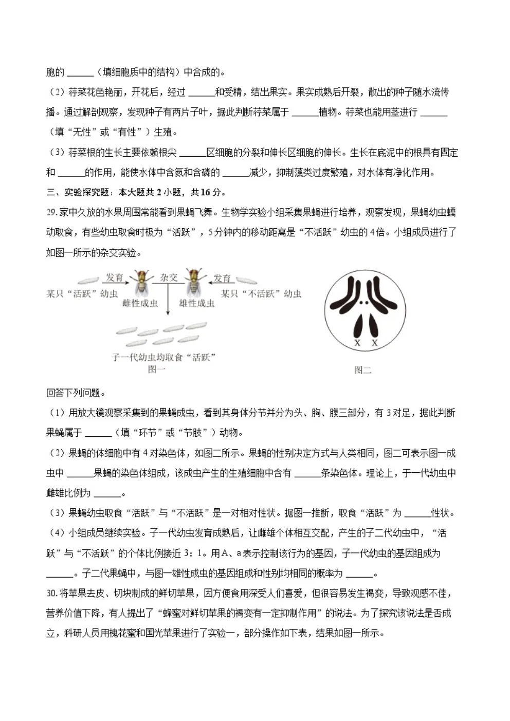 2025年河北省生物地理中考真题 第7张 2025年河北省生物地理中考真题 第7张