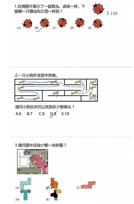 袋鼠数学竞赛历年真题答案,2013-2026全级别都有~免费领取 第2张 袋鼠数学竞赛历年真题答案,2013-2026全级别都有~免费领取 第2张