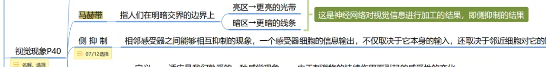 真题及答案-26年同等学力心理学综合 第4张