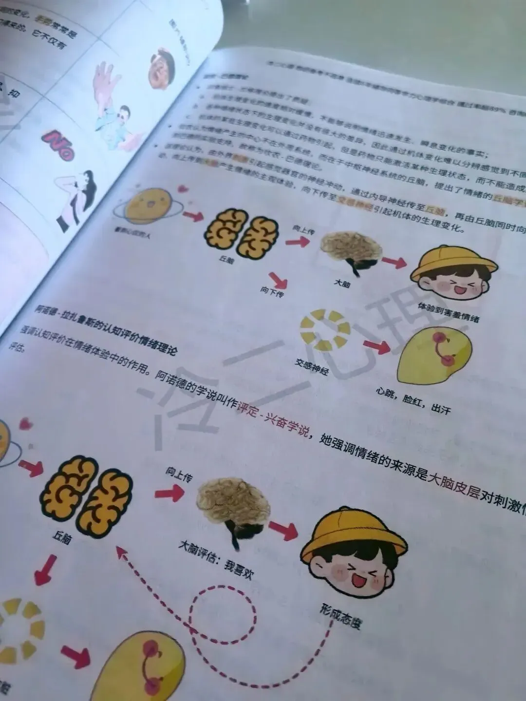 真题及答案-26年同等学力心理学综合 第16张