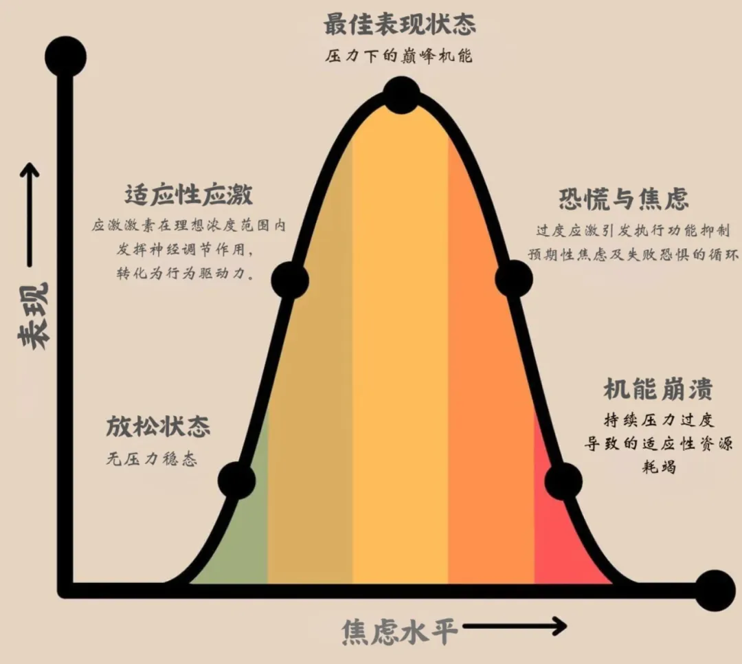 体育扣分=中考失利?孩子心态崩了怎么办! 第7张