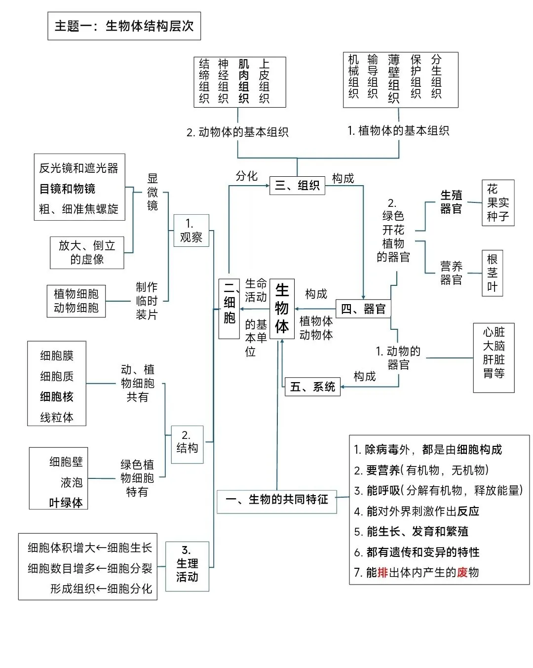 新人教版初中生物六大主题生物中考复习思维导图pptx课件文档 可编辑版 第2张
