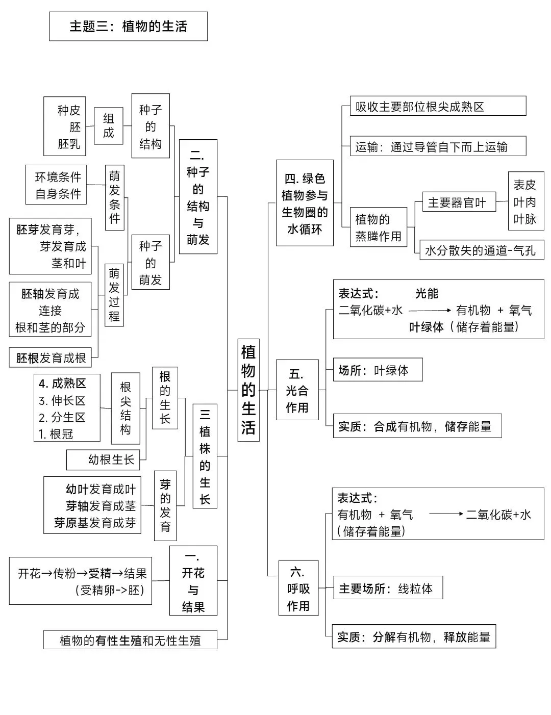 新人教版初中生物六大主题生物中考复习思维导图pptx课件文档 可编辑版 第4张