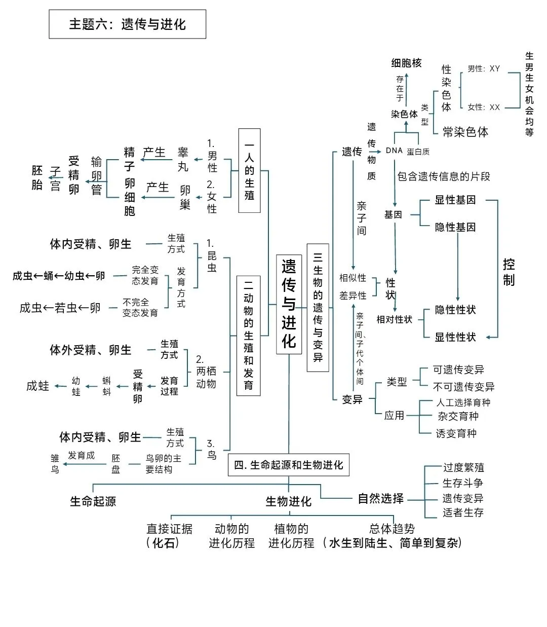 新人教版初中生物六大主题生物中考复习思维导图pptx课件文档 可编辑版 第7张