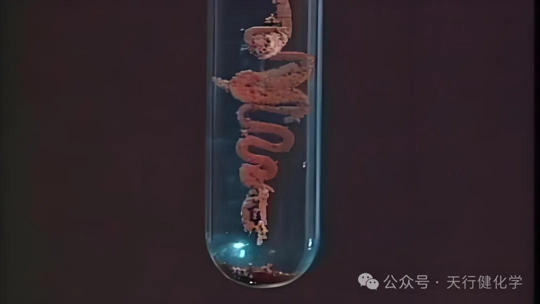 化学能量·中考必胜——10条学科祝福与核心考点精粹 第6张