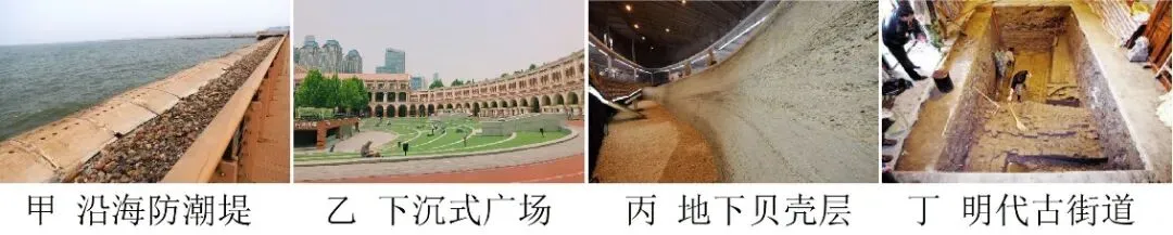冲刺提分真题练——考点41 环境安全与国家安全(原卷版) 第8张 冲刺提分真题练——考点41 环境安全与国家安全(原卷版) 第8张