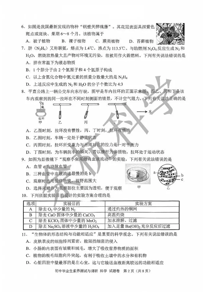 【中考模拟】2026年5月嘉兴嘉善二模科学卷-第7张图片-四季读书网 【中考模拟】2026年5月嘉兴嘉善二模科学卷-第7张图片-四季读书网