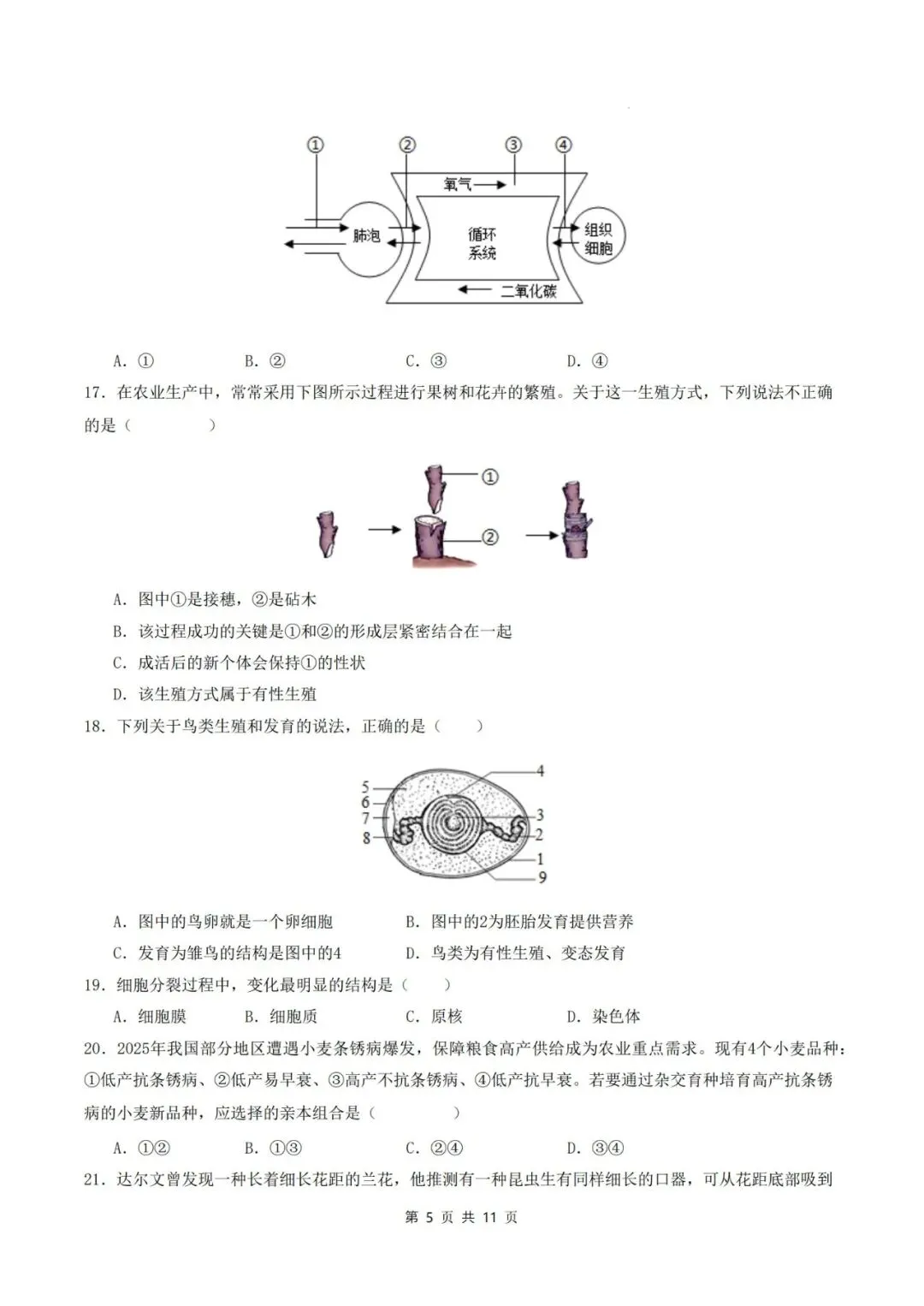 2026年中考生物临考冲刺卷(全国通用)(考试版+解析版),电子版可打印,建议收藏,打印吃透! 第8张 2026年中考生物临考冲刺卷(全国通用)(考试版+解析版),电子版可打印,建议收藏,打印吃透! 第8张