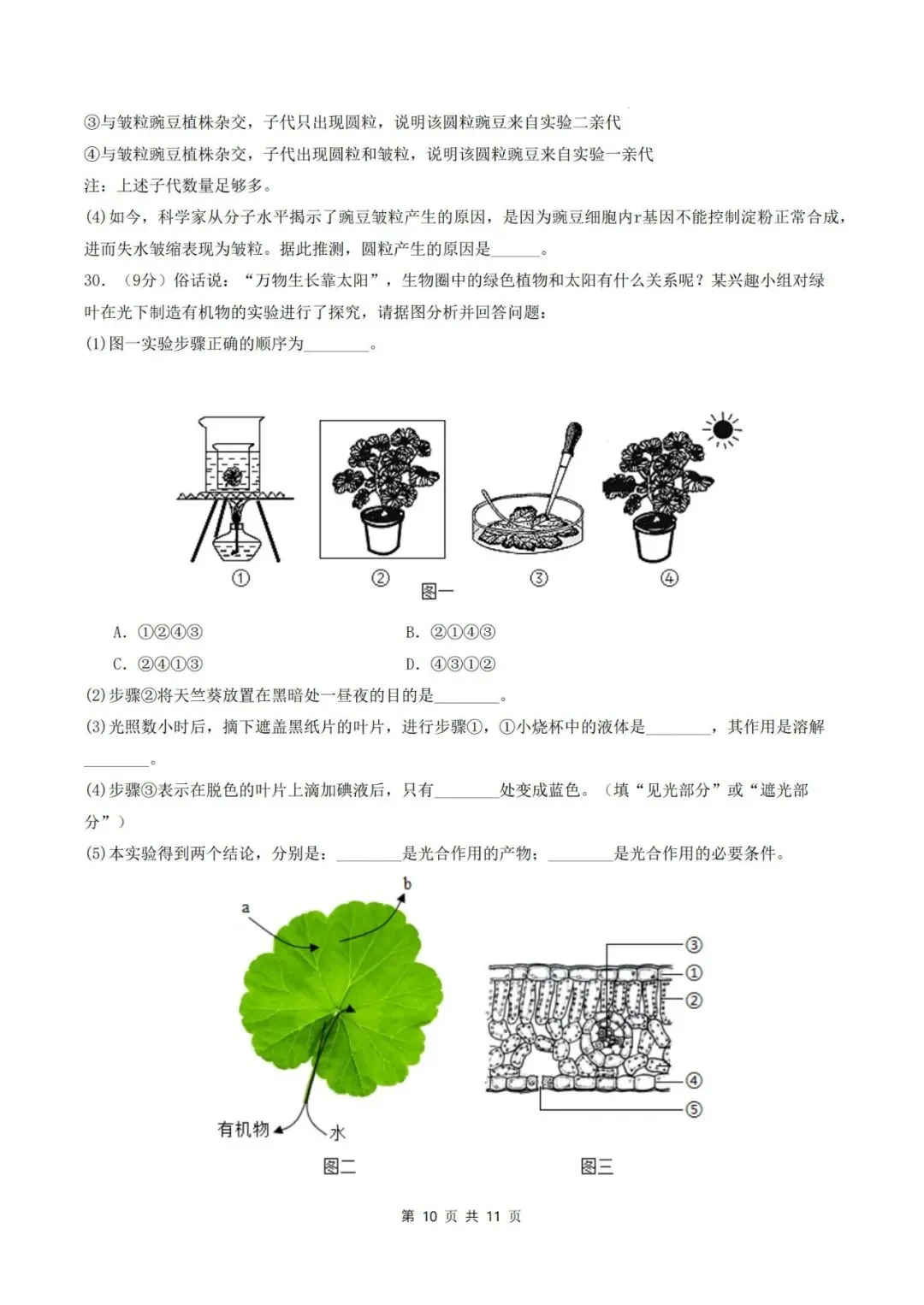 2026年中考生物临考冲刺卷(全国通用)(考试版+解析版),电子版可打印,建议收藏,打印吃透! 第13张 2026年中考生物临考冲刺卷(全国通用)(考试版+解析版),电子版可打印,建议收藏,打印吃透! 第13张