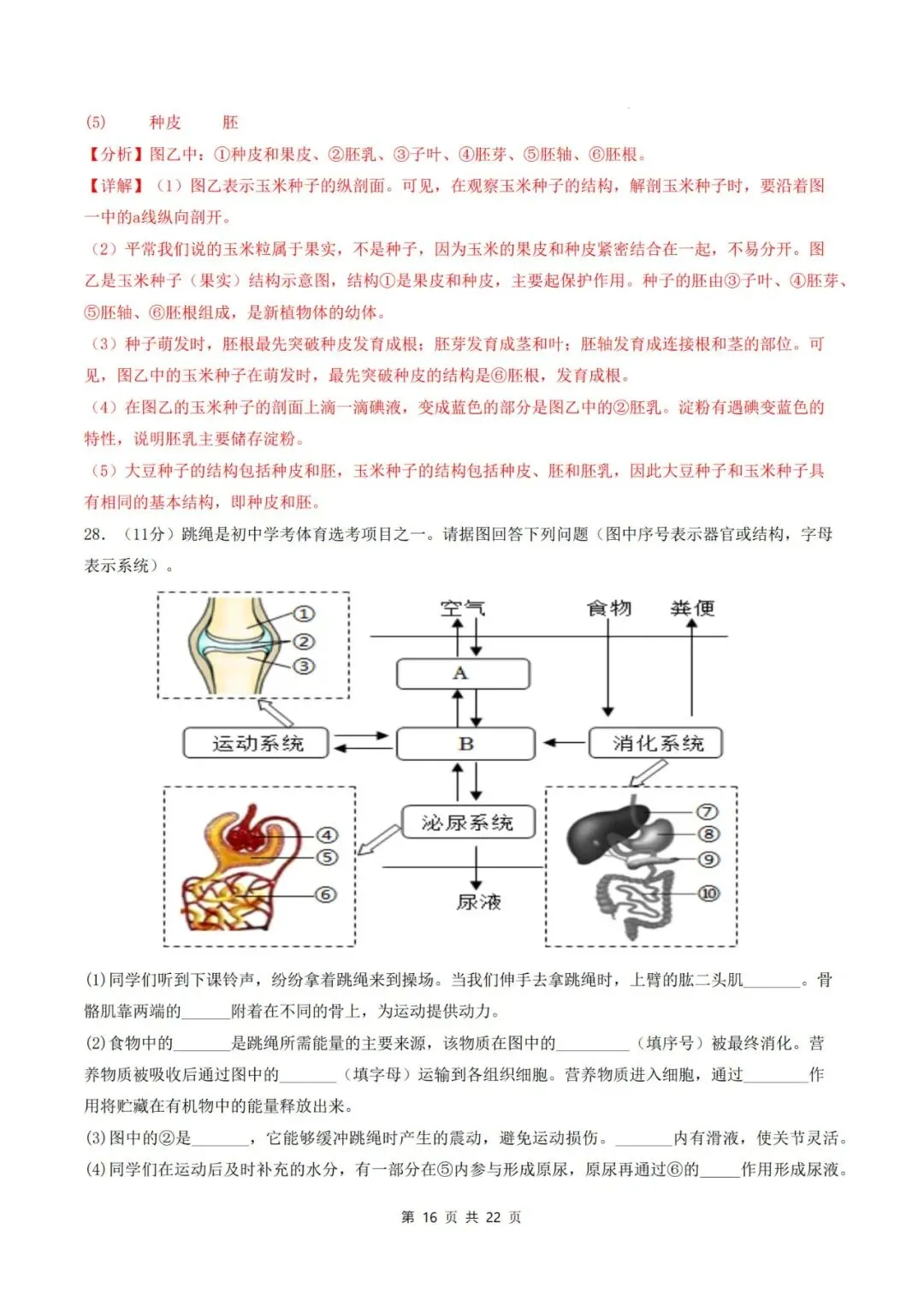 2026年中考生物临考冲刺卷(全国通用)(考试版+解析版),电子版可打印,建议收藏,打印吃透! 第30张 2026年中考生物临考冲刺卷(全国通用)(考试版+解析版),电子版可打印,建议收藏,打印吃透! 第30张
