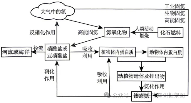 2026年哈尔滨市高考第二次模拟考试生物学试题和答案 ⊙ 第6张